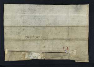 Manuscript image dorse