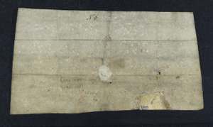 Manuscript image dorse