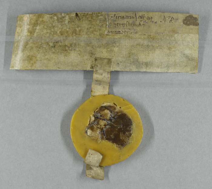 dorse of manuscript