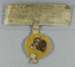 Manuscript image dorse