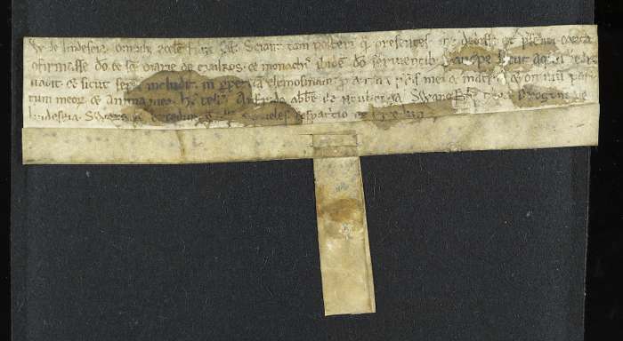 face of manuscript