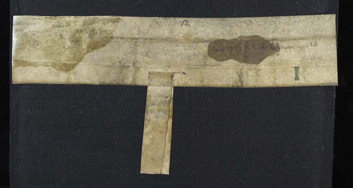 dorse of manuscript