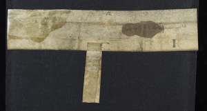 Manuscript image dorse