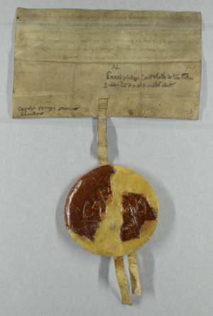 Manuscript image dorse