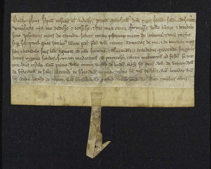 face of manuscript