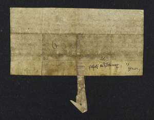 Manuscript image dorse