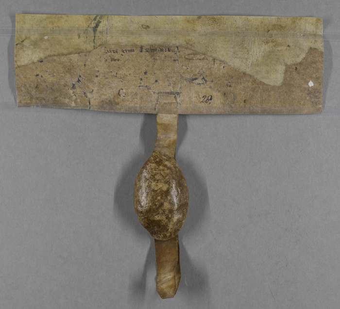 dorse of manuscript