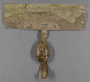 Manuscript image dorse