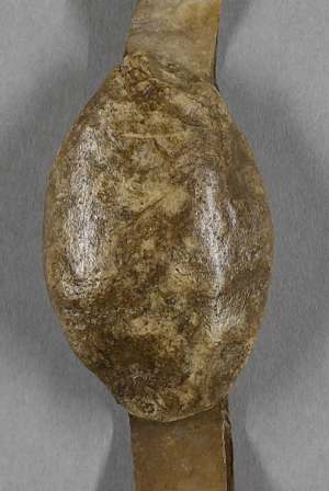 Manuscript image seal