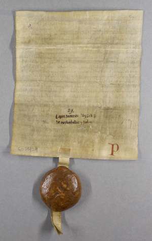 Manuscript image dorse