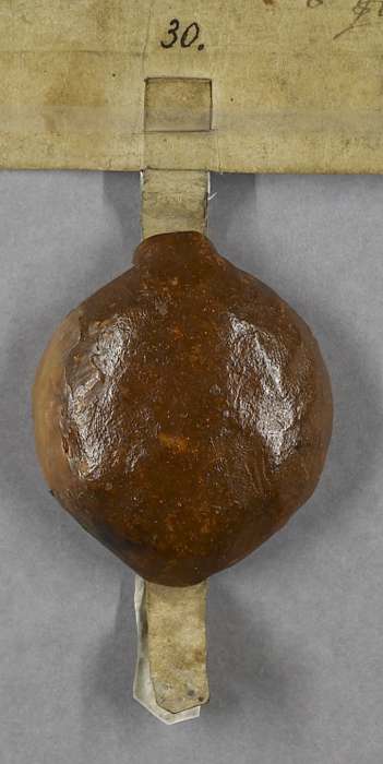 seal of manuscript