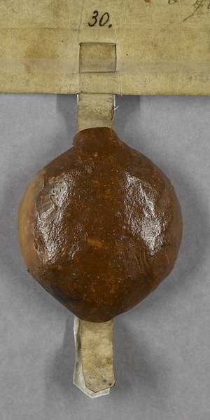 Manuscript image seal