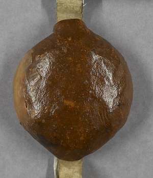 Manuscript image seal