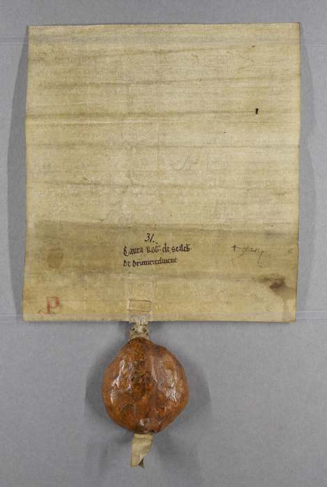 dorse of manuscript