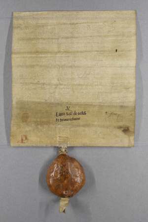 Manuscript image dorse