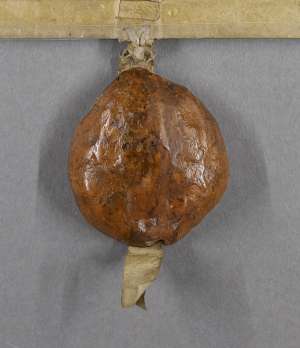 Manuscript image seal