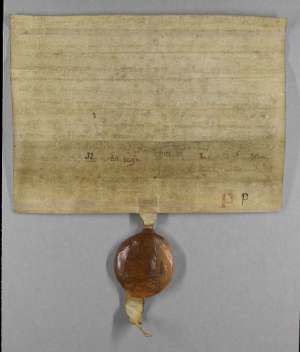 Manuscript image dorse