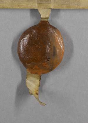 Manuscript image seal