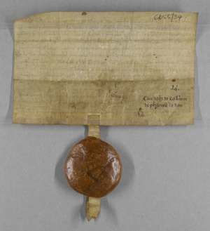Manuscript image dorse