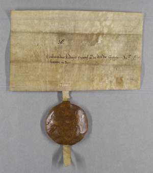 Manuscript image dorse