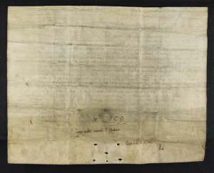 Manuscript image dorse