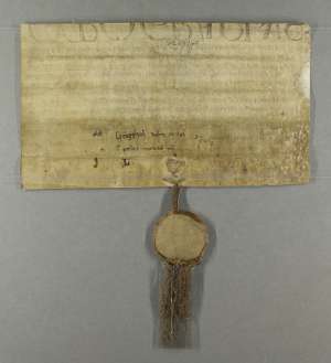 Manuscript image dorse