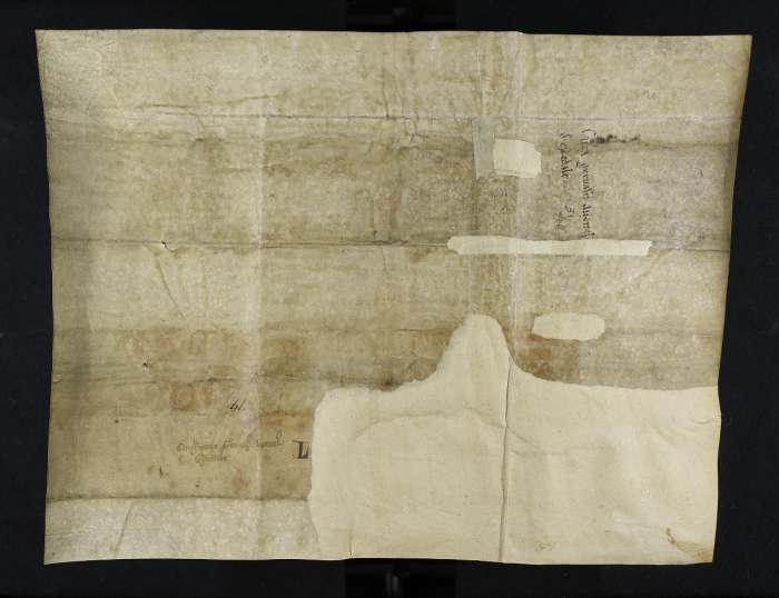 dorse of manuscript