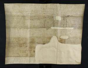 Manuscript image dorse