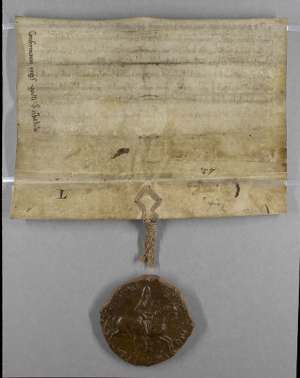 Manuscript image dorse