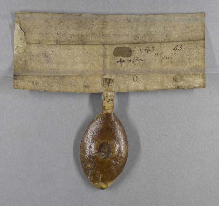 dorse of manuscript