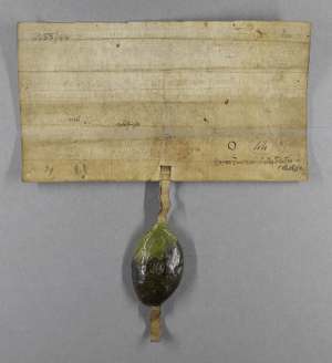 Manuscript image dorse