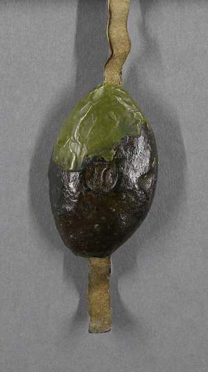 Manuscript image seal